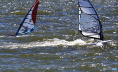 「青い空」が一番　風に乗ったねぇ〜　　