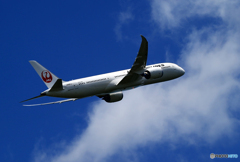 「良い空～」JAL 787-9 JA881J  Takeoff