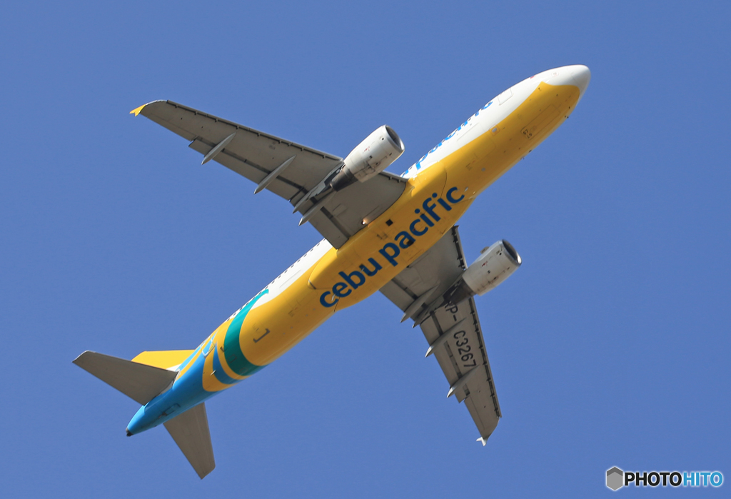 「群青」 CEBU A320-214 RP-C3267 Takeoff
