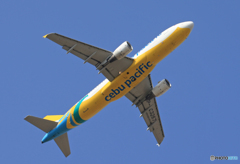 「群青」 CEBU A320-214 RP-C3267 Takeoff