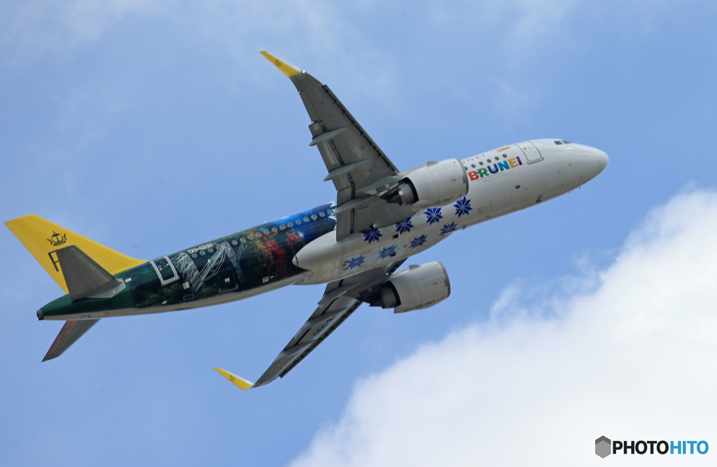 「あおいそら」 ロイヤルブルネイA320-251 V8-RBD