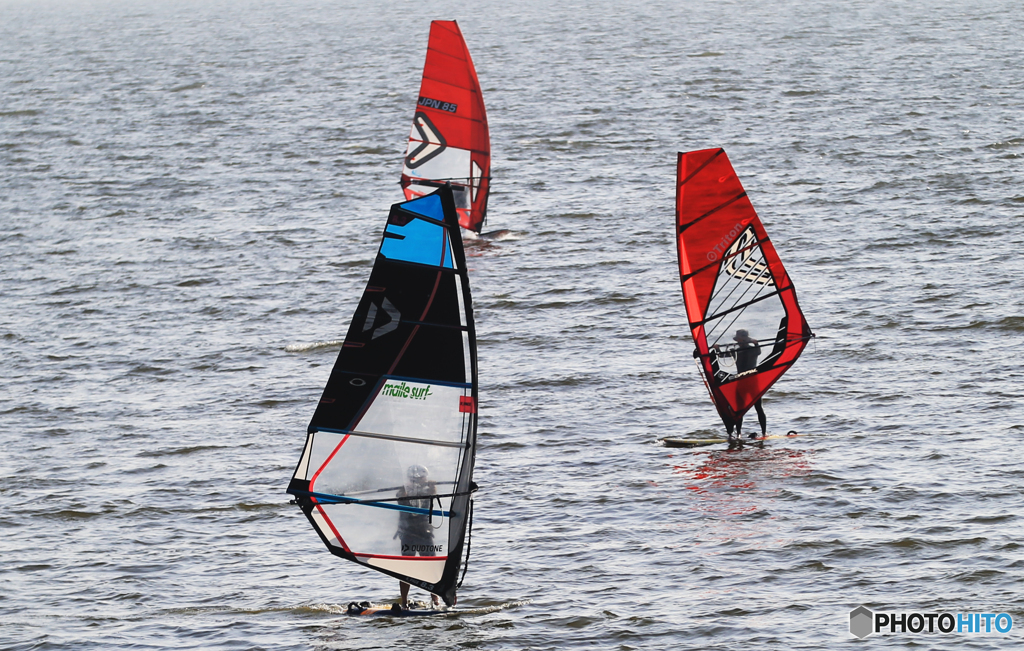 「cool」ウイン　ウイン　天気も最高だね