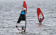 「cool」ウイン　ウイン　天気も最高だね