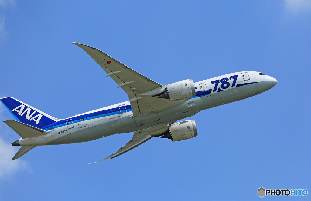 「はれー」 ANA 787-8 JA803A 離陸 です