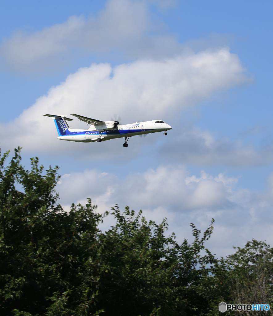 「Blue」 ANA DHC-8-400 JA842A 到着