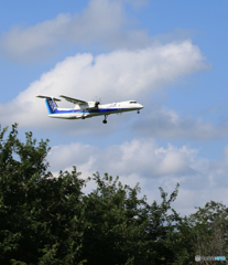 「Blue」 ANA DHC-8-400 JA842A 到着