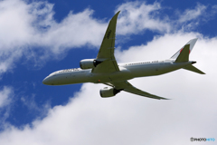 ☀「青い空」が一番 JAL 787-9 JA866J 飛ぶ