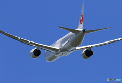 「ぶるー」 JAL 787-9 JA894J 出発です