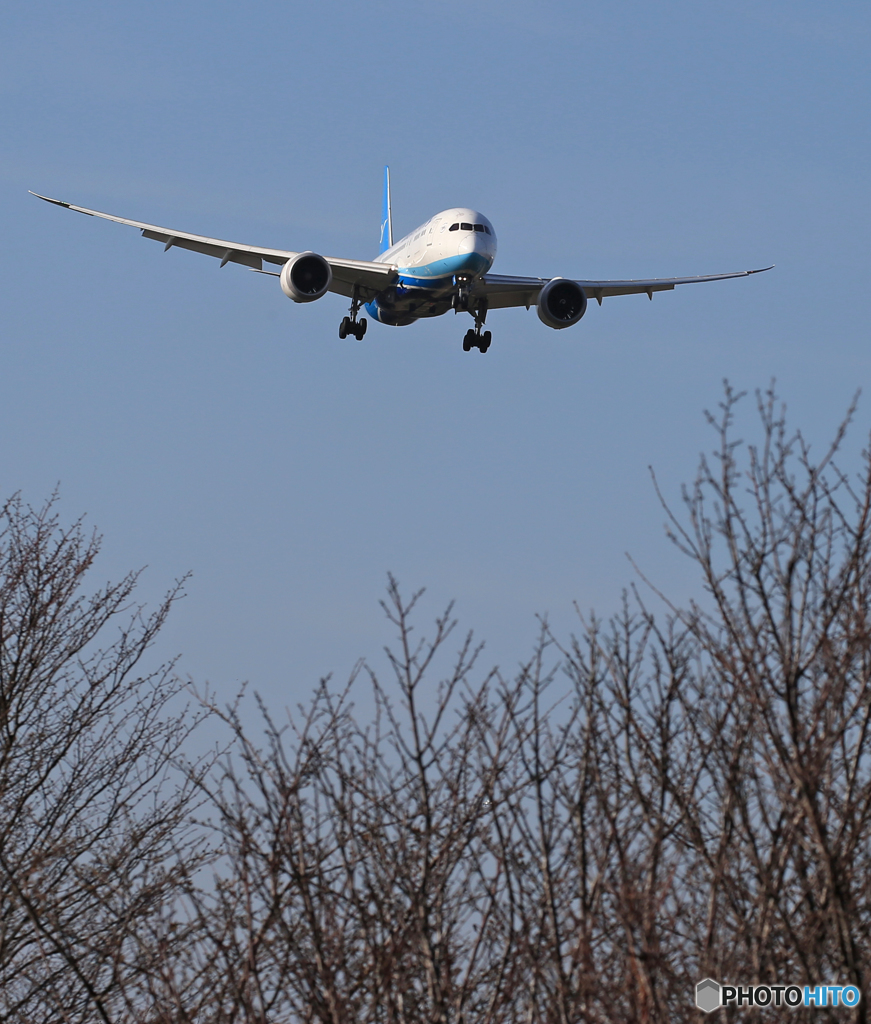 「晴れた」 アモイ航空787-9 B-2768 Landing