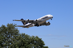  「晴れ」Singapore A380-841 9V-SKQ Takeoff 