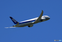 「真青の空」ANA 787-9 JA877A 出発