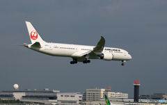 「晴れ」JAL 787-9 JA867J   Landing  