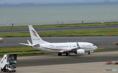 「蒼空」PAL FLIGHT アラブウイング 出発です