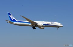 「群青色」ANA 787-9  来た～次の着陸機が向こうに見えます