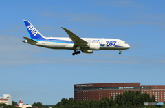 「すかい」 ANA 787-8 JA808A Landing