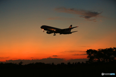 ☮ シルエット ・☆７６７ Cargo ☮