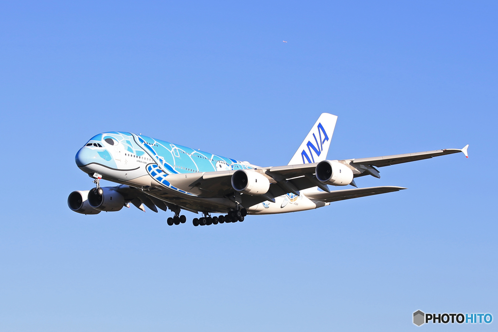  「青が好き」ANA A380-841 JA381A Landing