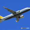 「SKY」レモン色の    小さな国の飛行機