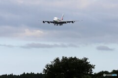 「☁」 エミレーツ特別塗装A380-861 着陸