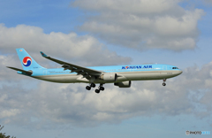 「青色が好き」 KOREAN A330-300 HL7550 着陸します