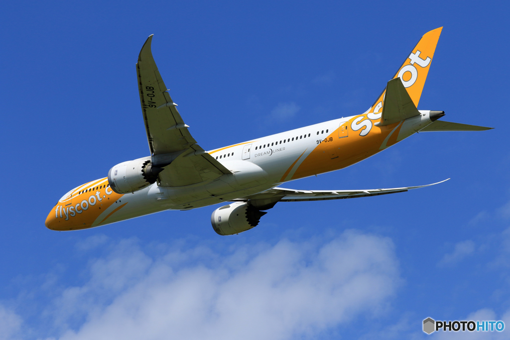 「青が大好き」 scoot 787 9V-OJB Takeoff