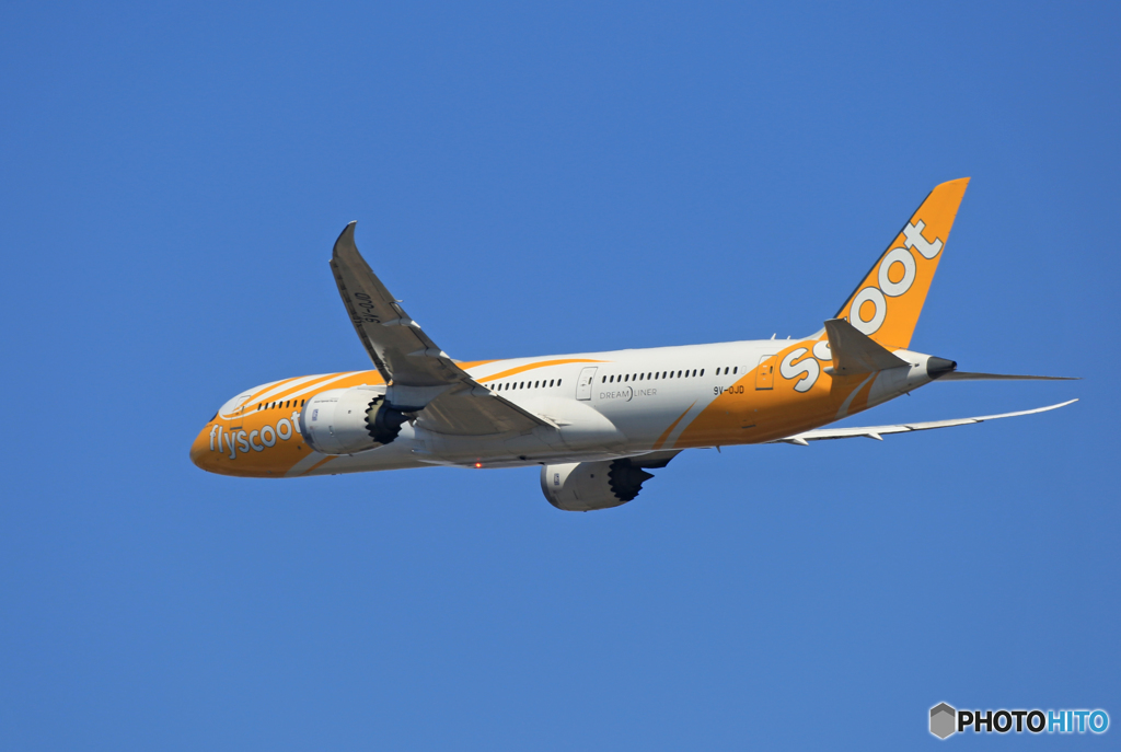 「青が好き」 ☮scoot B787-9 9V-OJD✈出発です