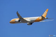 「青が好き」 ☮scoot B787-9 9V-OJD✈出発です