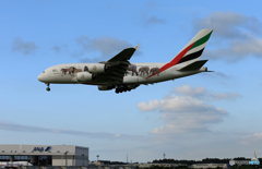 「はれー」エミレーツ動物愛護機 A380-861 Landing