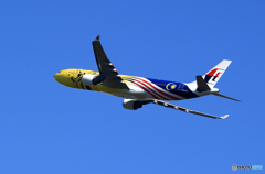 「空色」マレーシアA330-323 9M-MTG