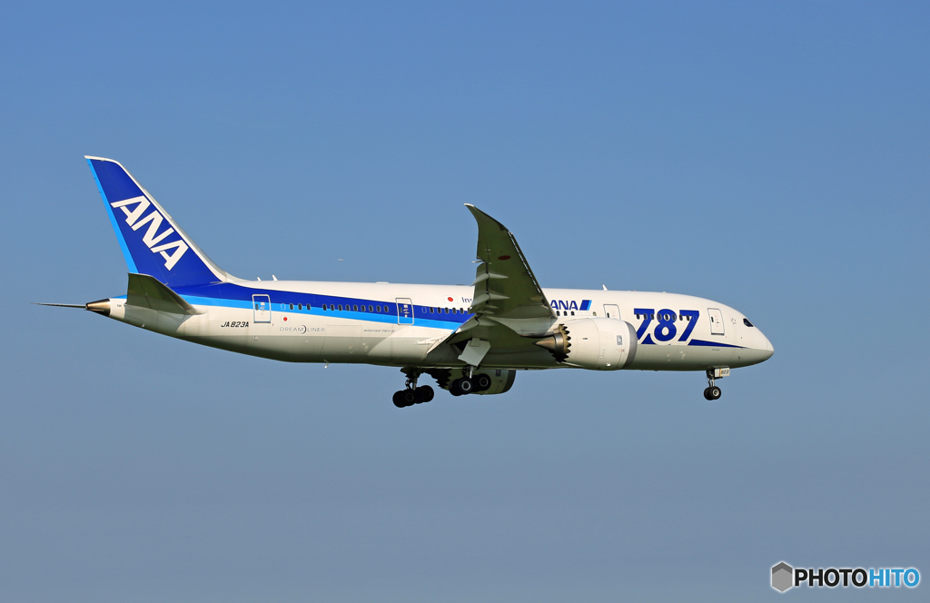 「スカイ」 ANA 787-8 JA823A 着地前