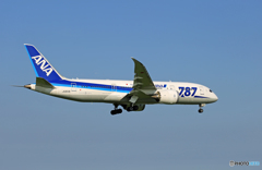 「スカイ」 ANA 787-8 JA823A 着地前