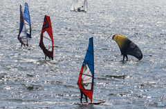 「晴れ」気分は最高ですね