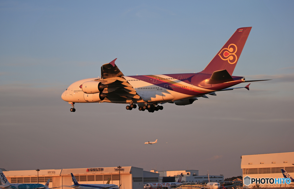 「群青」THAI A380-841 HS-TUD 到着