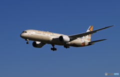 「あおぞら」ETIHAD 787-9 A6-BLO Landing