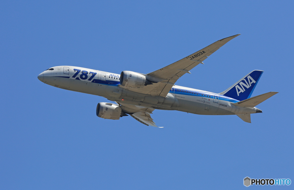 「すかい」 ANA 787-8 JA803A 飛び立ちです 