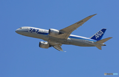 「すかい」 ANA 787-8 JA803A 飛び立ちです 