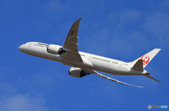 「青色が好き」JAL 787-9 JA865J 出発です