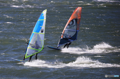 [青い空]   競う・ウインドサーフィン