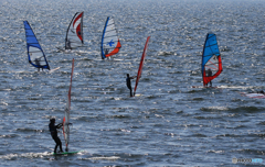 「すかい」ウイングサーフィン・ウインドサーフィン