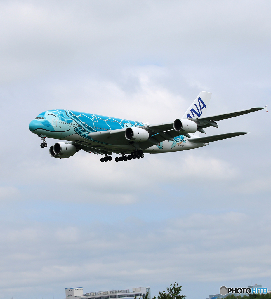 「曇り」 Flying Honu JA382A  Landing