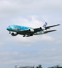 「曇り」 Flying Honu JA382A  Landing