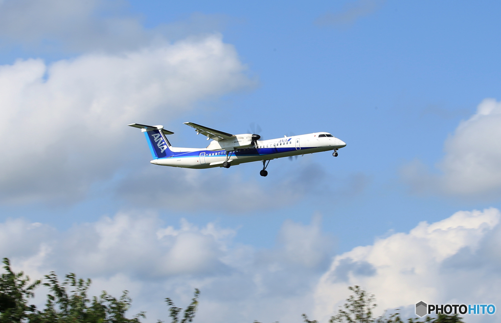 「青」 ANA DHC-8-400 JA842A  Landing 
