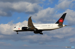 「空色」 Air Canada 787-8 C-GHPQ  Landing 