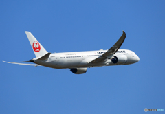 「ぶるー」 JAL 787-9 JA869J Takeoff ☮