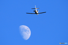 「青色が好き」 Private:DASSAULT FALCON