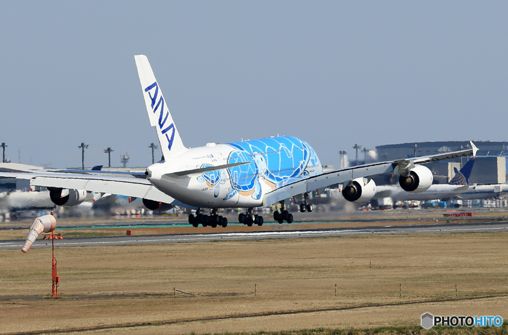 「青が好き」 ANA A380-841 honu JA381A 着陸です