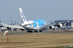 「青が好き」 ANA A380-841 honu JA381A 着陸です