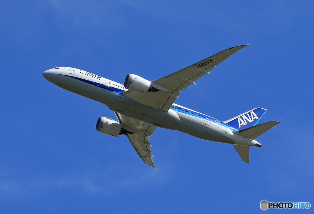 「ぶるー」 ANA 787-8 JA802A Takeoff 