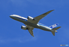「ぶるー」 ANA 787-8 JA802A Takeoff 