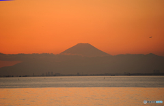 ☮  富士山の夕景と飛行機　☮